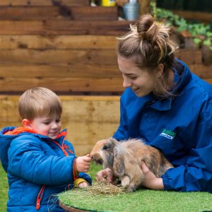 Meeting a rabbit